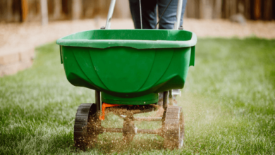 Lawn Fertilizer and Weed Control: Managing Weeds Naturally