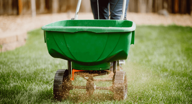 Lawn Fertilizer and Weed Control: Managing Weeds Naturally