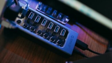 digital growth hub services