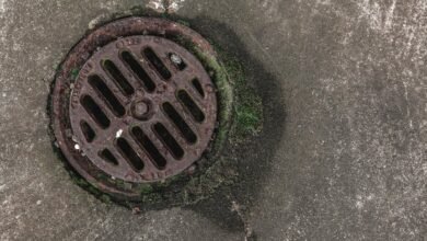 next level digital growth