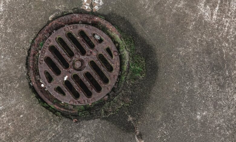 next level digital growth