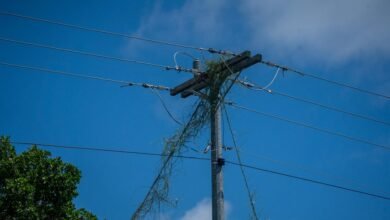 smart cloud growth strategy