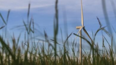 smart digital growth solutions