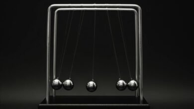 apex momentum driving growth