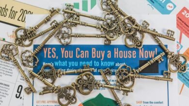 stellar nexus drives market opportunities