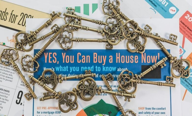 stellar nexus drives market opportunities