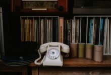 access number registry records ids