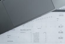 inspect number registry reports for five ids