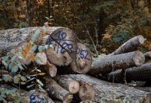 inspect numbers registry logs