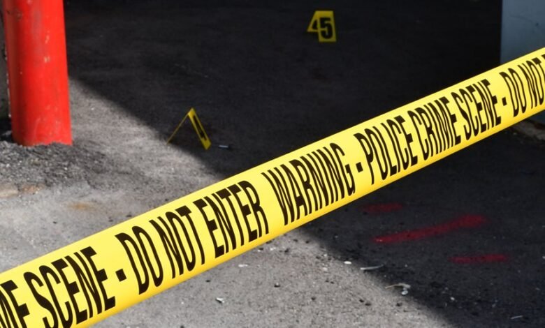 registry entries detail investigation numbers