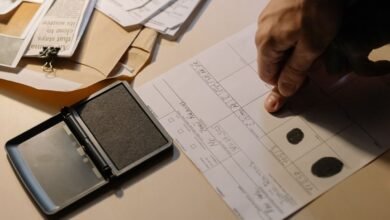 registry investigation data for listed ids
