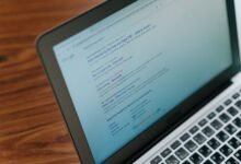 registry search findings for specific ids