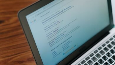 registry search findings for specific ids