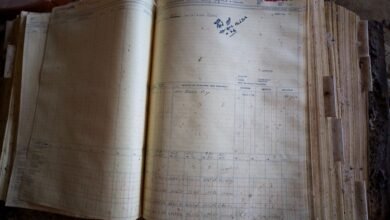registry search numbers listed multiple records
