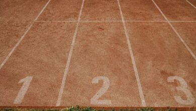 track phone numbers across profiles
