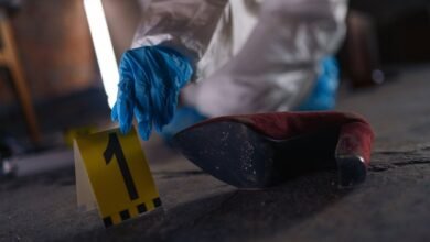 verified registry evidence ids listing